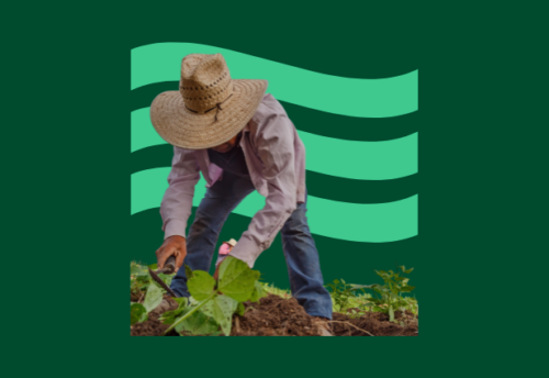 Graphic image of a farmworker using a tool in front of a green flag symbol